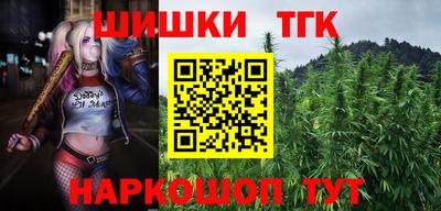 тгк Обь