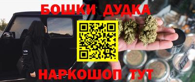 тгк Обь