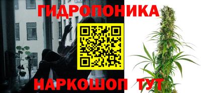тгк Обь