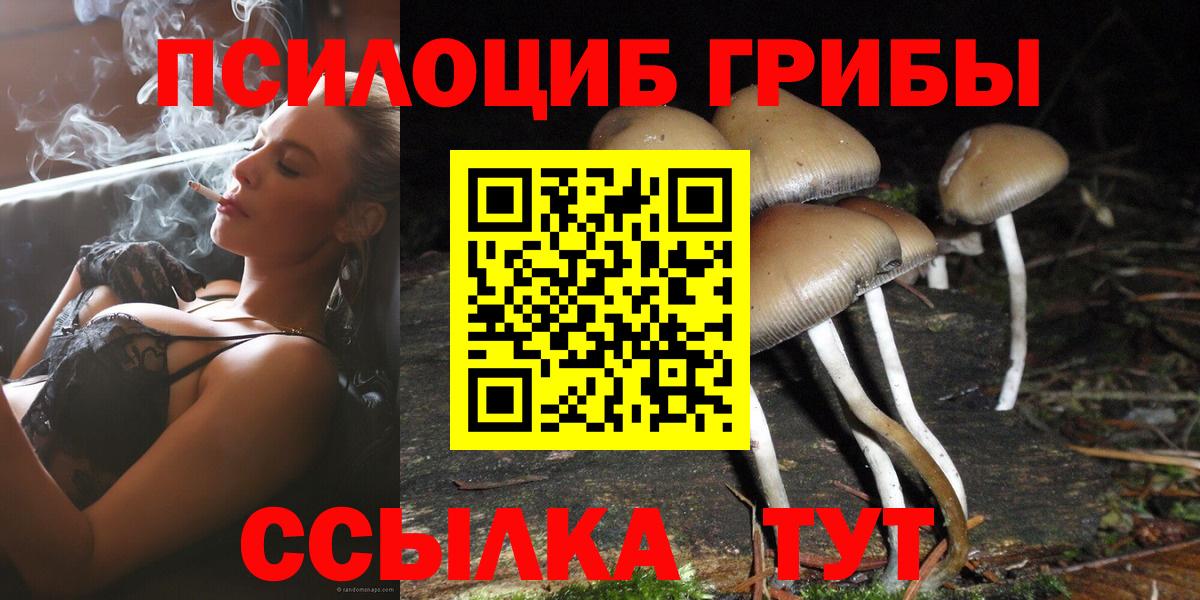 Галлюциногенные грибы прущие грибы Тихвин