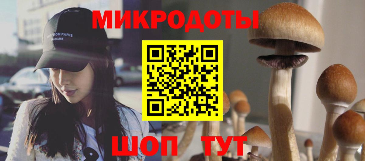 Псилоцибиновые грибы Psilocybine cubensis  Вход с VPN  Тихвин 