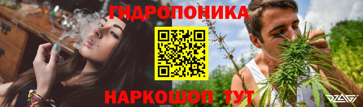 Бошки марихуана марихуана Тихвин